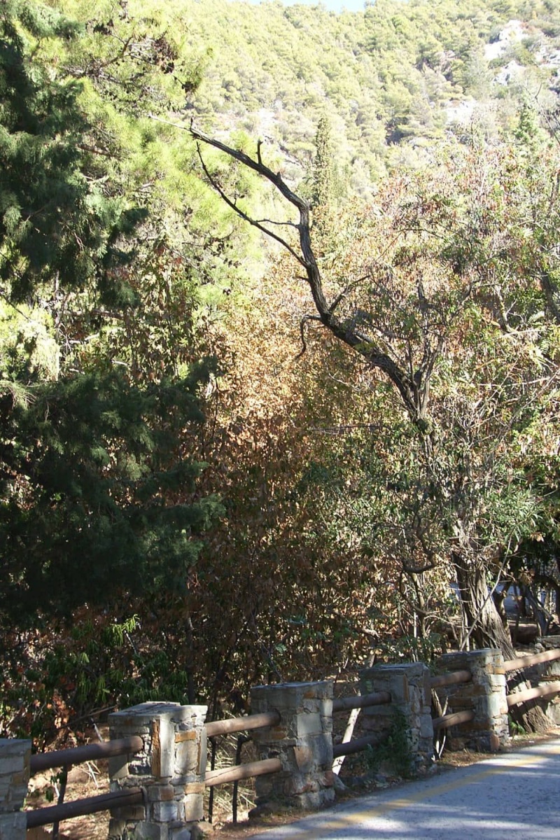 Υμηττός