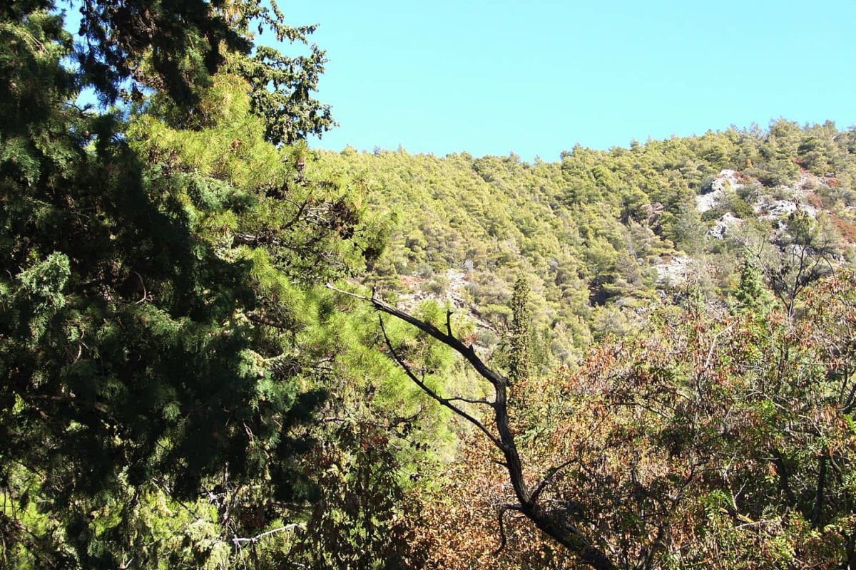 Υμηττός