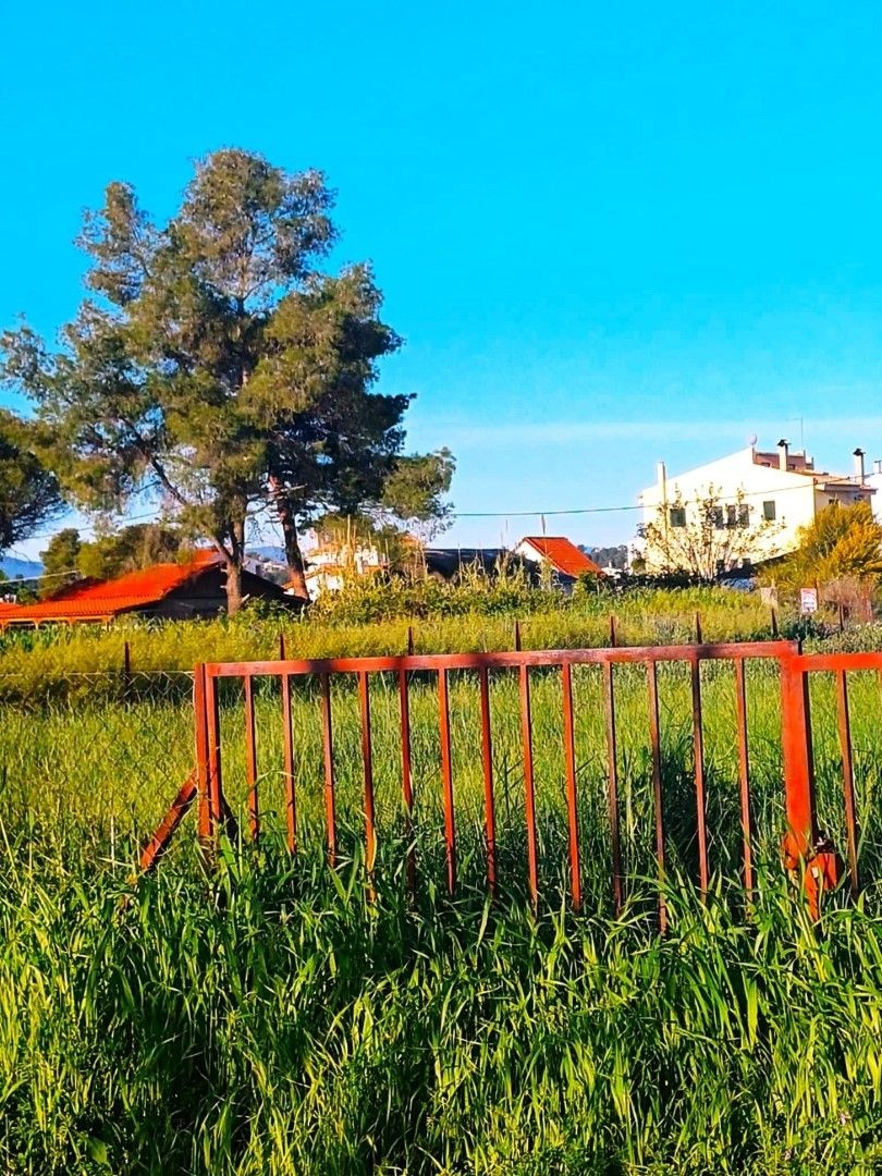 Suburban strolling 