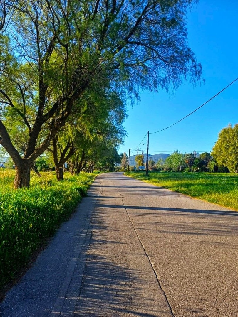 Suburban strolling 