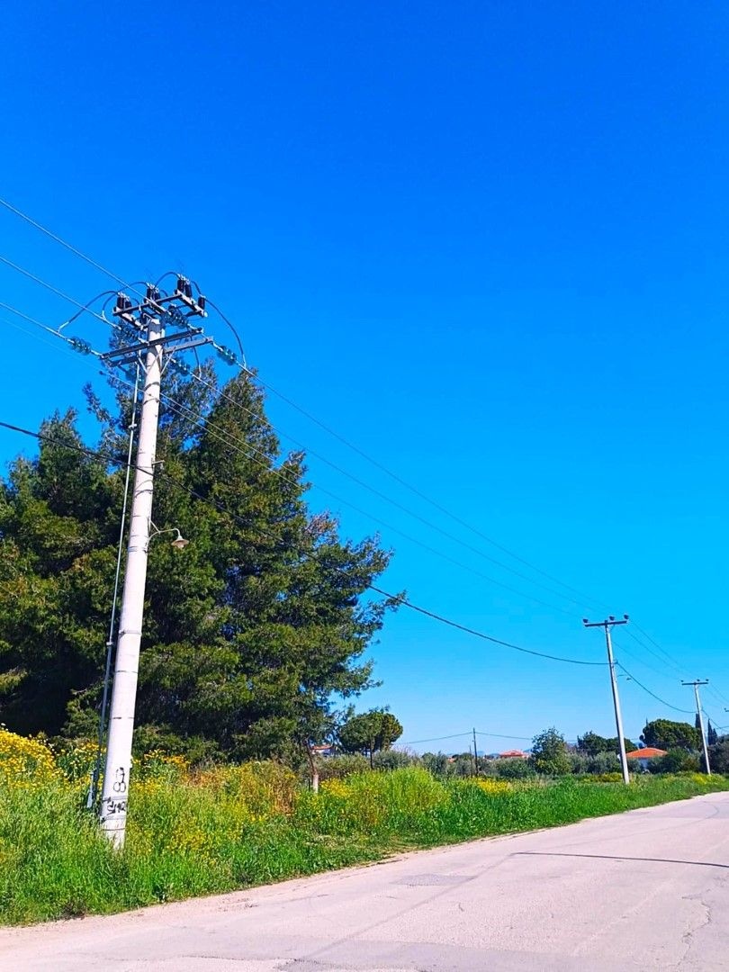 Suburban strolling 