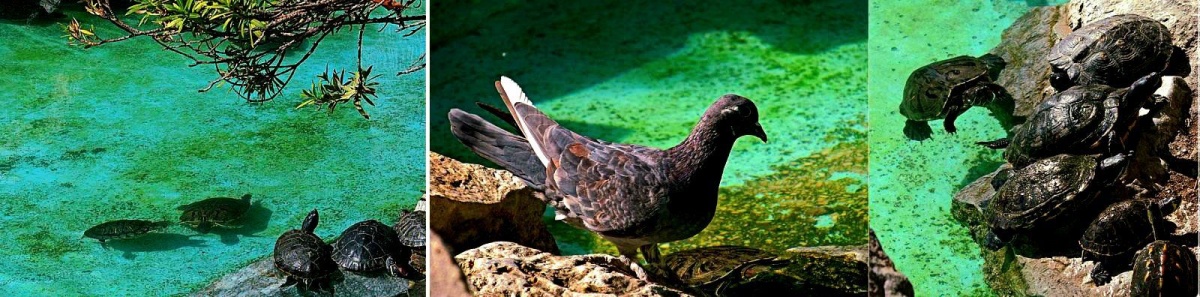 Εθνική Πινακοθήκη