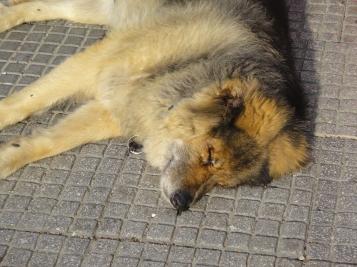 Θεσσαλονίκη - Ιστορική επισκόπηση