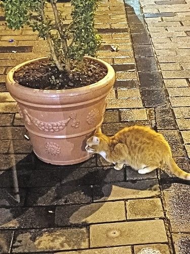 Κωνσταντινούπολη, η Αιώνια Πόλη εδραιωμένη πάνω σε μία αρχαία ελληνική πόλη 