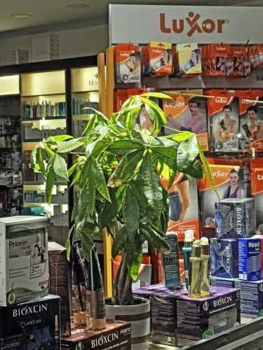 Κωνσταντινούπολη, η Αιώνια Πόλη εδραιωμένη πάνω σε μία αρχαία ελληνική πόλη 