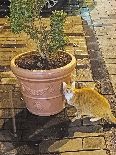 Κωνσταντινούπολη, η Αιώνια Πόλη εδραιωμένη πάνω σε μία αρχαία ελληνική πόλη 