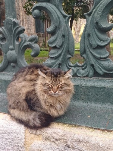 Ιστανμπούλ: Εκεί που συγκρούονται ήπειροι και αντηχεί η ιστορία