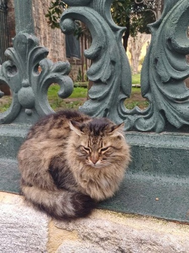 Ιστανμπούλ: Εκεί που συγκρούονται ήπειροι και αντηχεί η ιστορία