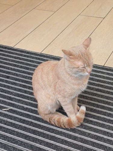 Ιστανμπούλ: Εκεί που συγκρούονται ήπειροι και αντηχεί η ιστορία