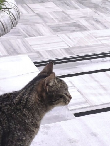 Κωνσταντινούπολη, η Αιώνια Πόλη εδραιωμένη πάνω σε μία αρχαία ελληνική πόλη