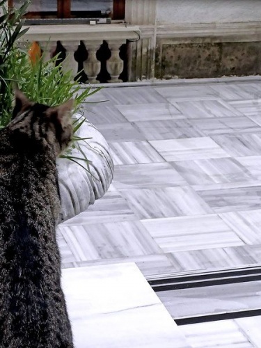 Κωνσταντινούπολη, η Αιώνια Πόλη εδραιωμένη πάνω σε μία αρχαία ελληνική πόλη