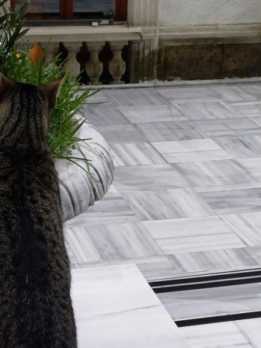 Κωνσταντινούπολη, η Αιώνια Πόλη εδραιωμένη πάνω σε μία αρχαία ελληνική πόλη