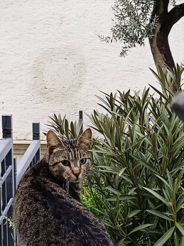 Κωνσταντινούπολη, η Αιώνια Πόλη εδραιωμένη πάνω σε μία αρχαία ελληνική πόλη