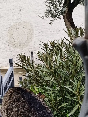 Κωνσταντινούπολη, η Αιώνια Πόλη εδραιωμένη πάνω σε μία αρχαία ελληνική πόλη