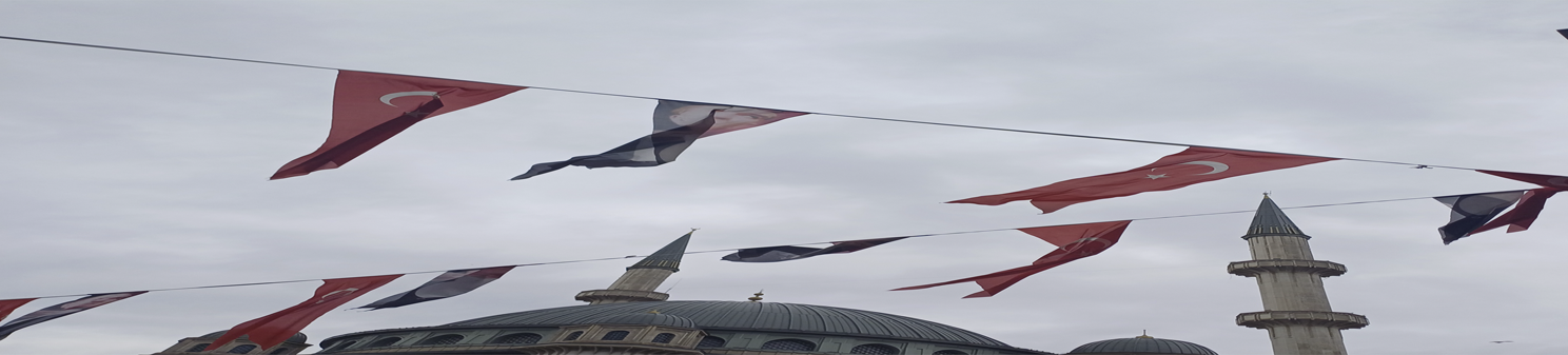 Πολιτική κρίση στην Τουρκία